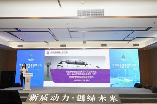 全球先进电池前沿技术研讨会在宜宾举行，树立电子科技领域风向标