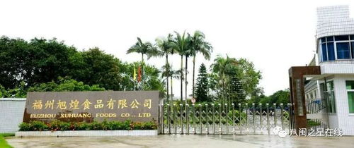 金奖企业旭煌食品 巧用科技助力，让鱼丸的国际旅程更远